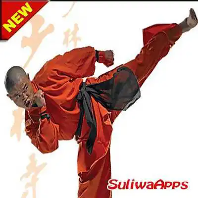 Play Best Kung Fu Learning Technique