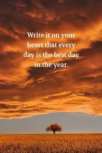 Play Best Lessons In Life Quotes as an online game online Best Lessons In Life Quotes with UptoPlay com.globalgraceapps.best.lessons.in.life.quotes Play Best Lessons In Life Quotes as an online game Best Lessons In Life Quotes with UptoPlay