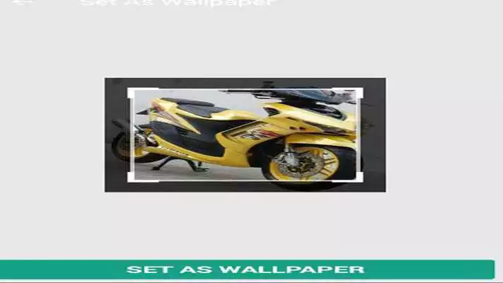 Play best motorsticker design