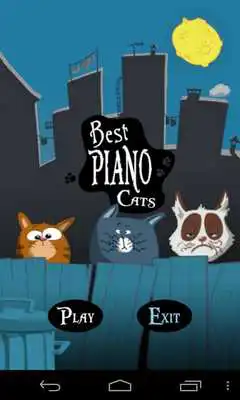Play Best Piano Cats