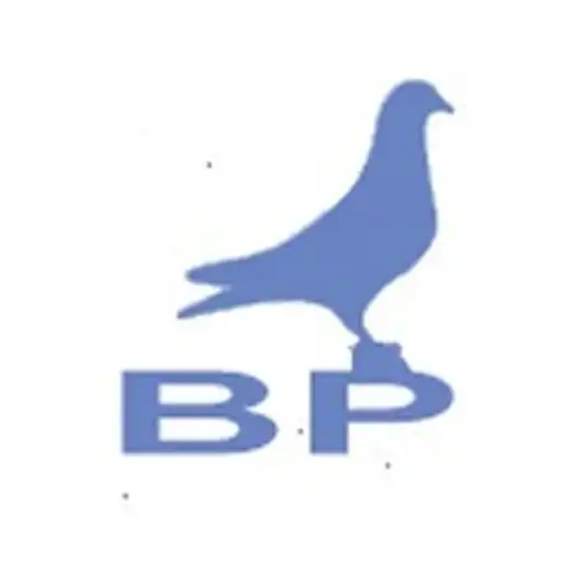 Play Best Pigeon BD APK