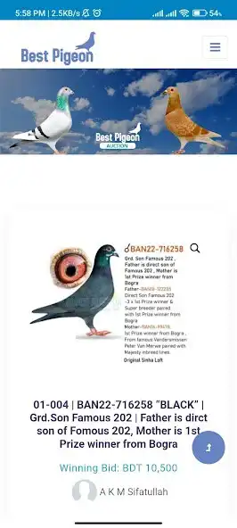 Play Best Pigeon BD as an online game Best Pigeon BD with UptoPlay