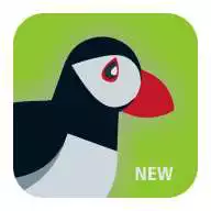 Free play online Best Puffin Web Browser Tricks APK