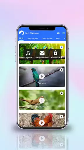 Play Best ringtones