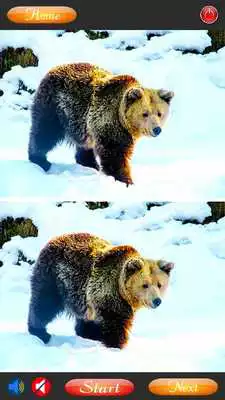 Play Best Spot the Difference Games