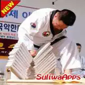 Free play online Best Taekwondo Technique APK Free play online Best Taekwondo Technique APK