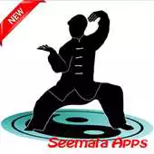 Free play online Best Tai Chi Technique Leraning APK