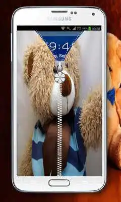 Play best teddy Zipper Lock