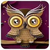 Free play online Best Wallpapers Owl  HD APK