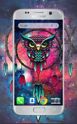 Play Best Wallpapers Owl HD Play Best Wallpapers Owl HD