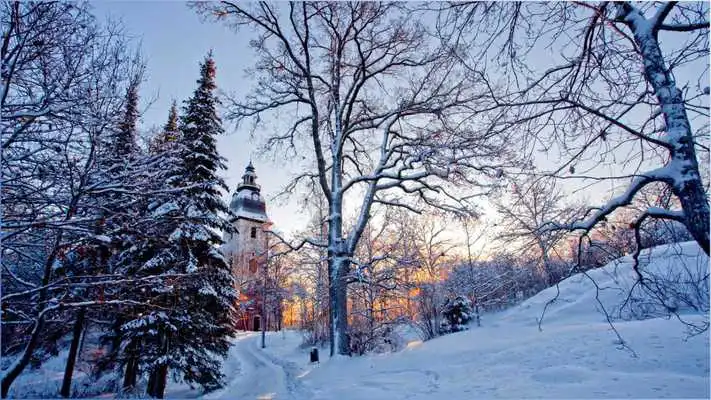 Play Best Winter Backgrounds