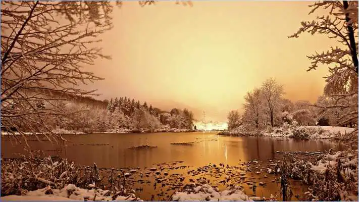 Play Best Winter Backgrounds