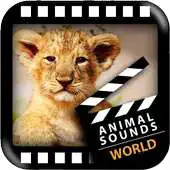 Free play online Best World Animals APK Free play online Best World Animals APK