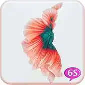 Free play online Betta Fish 6S Live Wallpaper APK Free play online Betta Fish 6S Live Wallpaper APK