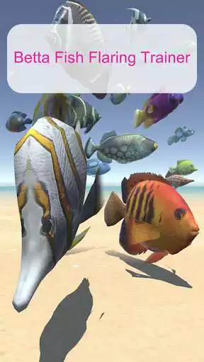 Play BettaFishFlaringTrainer