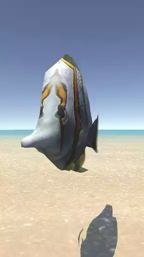 Play BettaFishFlaringTrainer