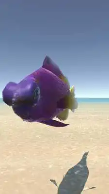 Play BettaFishFlaringTrainer