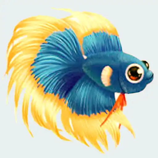 Play Betta Fish Live Wallpaper APK