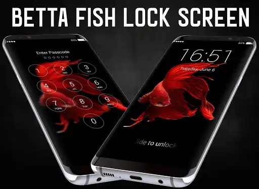 Play Betta Fish Lock Screen  and enjoy Betta Fish Lock Screen with UptoPlay