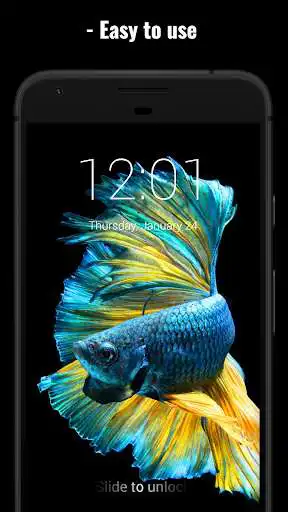 Play Betta Fish Lock Screen  Wallpaper  and enjoy Betta Fish Lock Screen  Wallpaper with UptoPlay