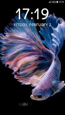 Play Betta Fish Pattern Lock Screen