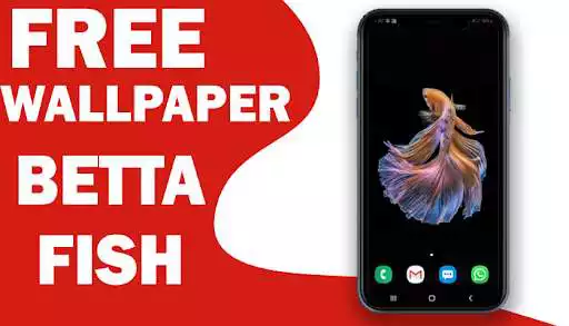 Play Betta fish wallpaper 3D free as an online game Betta fish wallpaper 3D free with UptoPlay