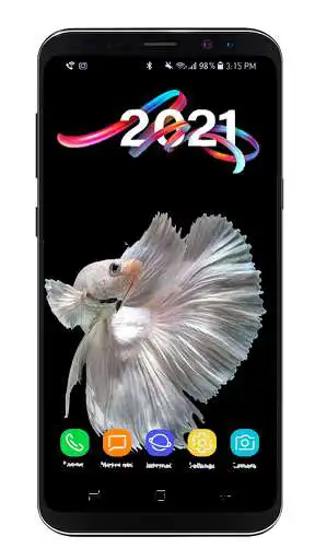 Play Betta Fish Wallpaper 4k as an online game online Betta Fish Wallpaper 4k with UptoPlay com.NewAstra.Cupangbettawallpaper Play Betta Fish Wallpaper 4k as an online game Betta Fish Wallpaper 4k with UptoPlay