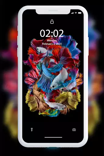 Play Bettafish Wallpaper as an online game Bettafish Wallpaper with UptoPlay