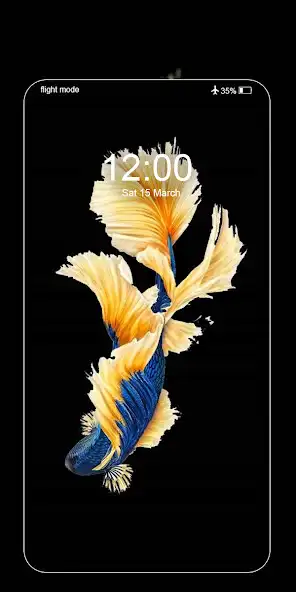 Play Betta Fish Wallpapers Live 4K as an online game Betta Fish Wallpapers Live 4K with UptoPlay