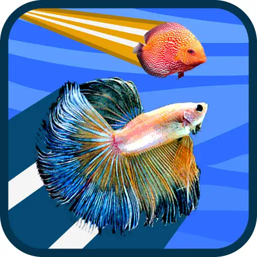 Play Betta vs Discus APK Play Betta vs Discus APK