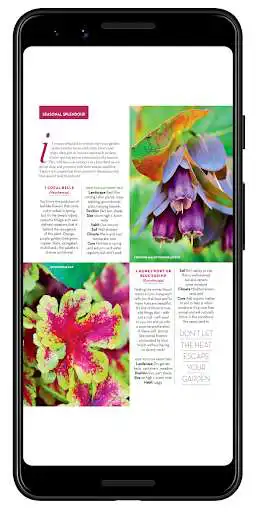 Play Better Homes and Gardens Aus