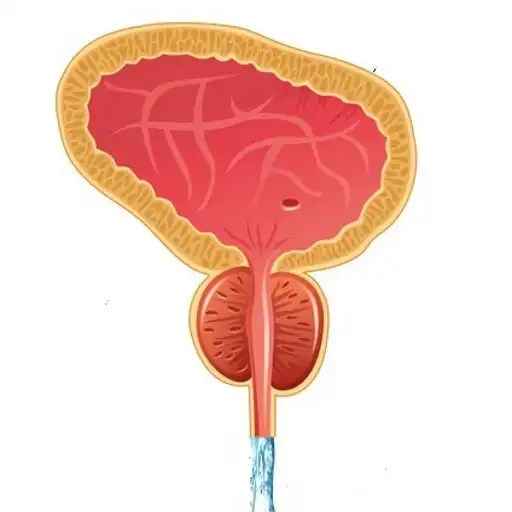 Play better Prostate APK