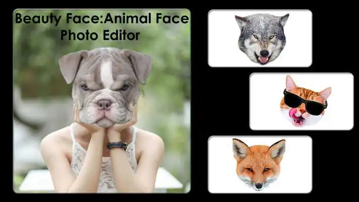 Play Beuty Face Animal Face