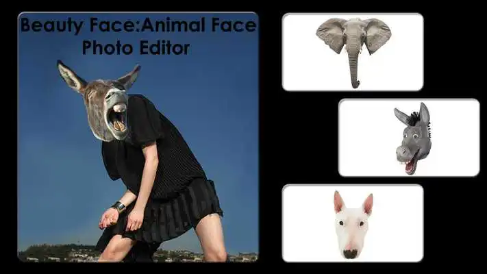 Play Beuty Face Animal Face