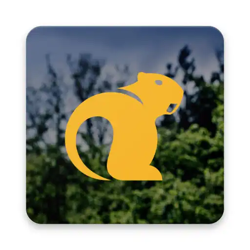 Play Bever Connect APK