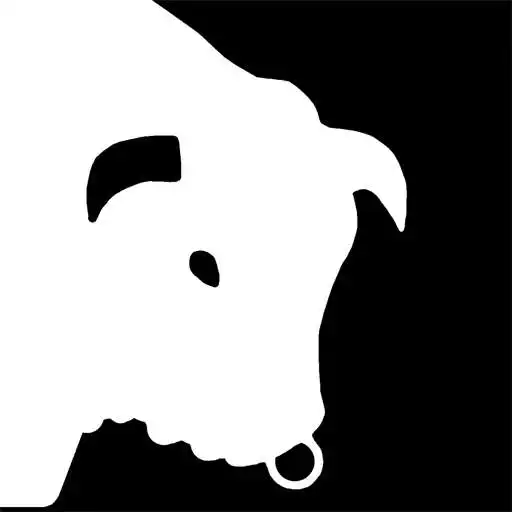 Play Beware Of The Bull APK Play Beware Of The Bull APK