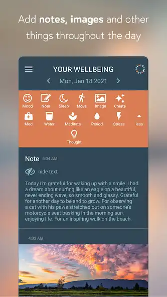 Play BeWell: Wellbeing Tracker, Open Source  Private as an online game BeWell: Wellbeing Tracker, Open Source  Private with UptoPlay