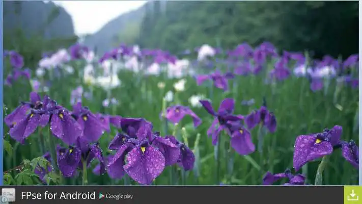 Play BF Nature Sceneries