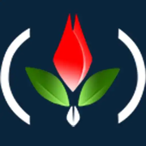 Free play online B-Fresh APK