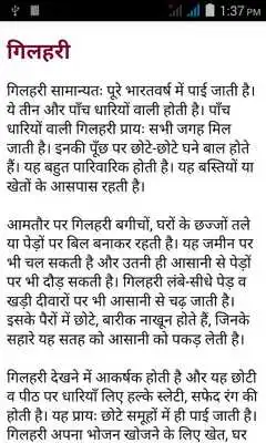 Play bhaiya ek bar dekh lo