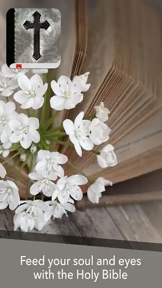 Play Bible app King James offline and enjoy Bible app King James offline with UptoPlay Play Bible app King James offline and enjoy Bible app King James offline with UptoPlay