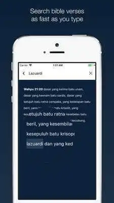 Play Bibleify