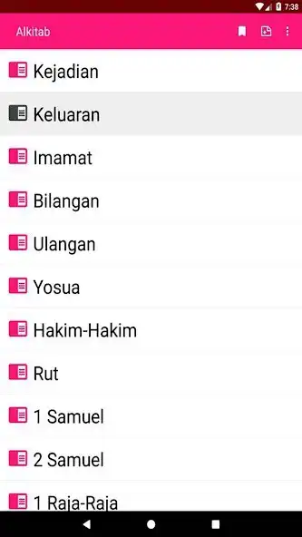 Play Bible in Indonesian with audio as an online game Bible in Indonesian with audio with UptoPlay