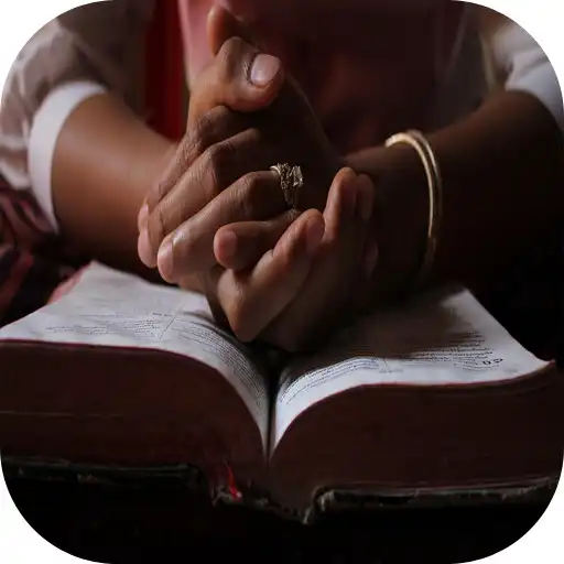 Play Bible NSO Igbo APK