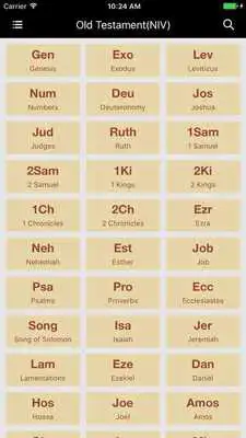 Play Bible (Offline) Reading Study