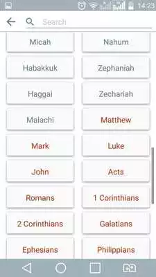 Play Bible Study