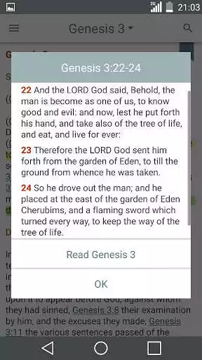 Play APK Bible Summary  and enjoy Bible Summary with UptoPlay bible.books.summary