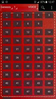 Play Bible VOICE, The Voice (English)