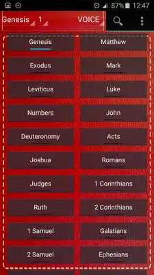 Play Bible VOICE, The Voice (English)