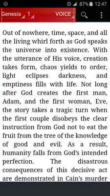 Play Bible VOICE, The Voice (English)